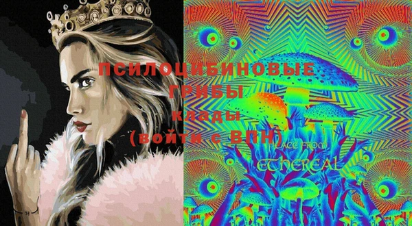MDMA Белокуриха