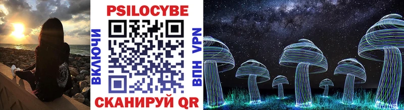 маркетплейс наркотические препараты  Ершов  Псилоцибиновые грибы Psilocybine cubensis 